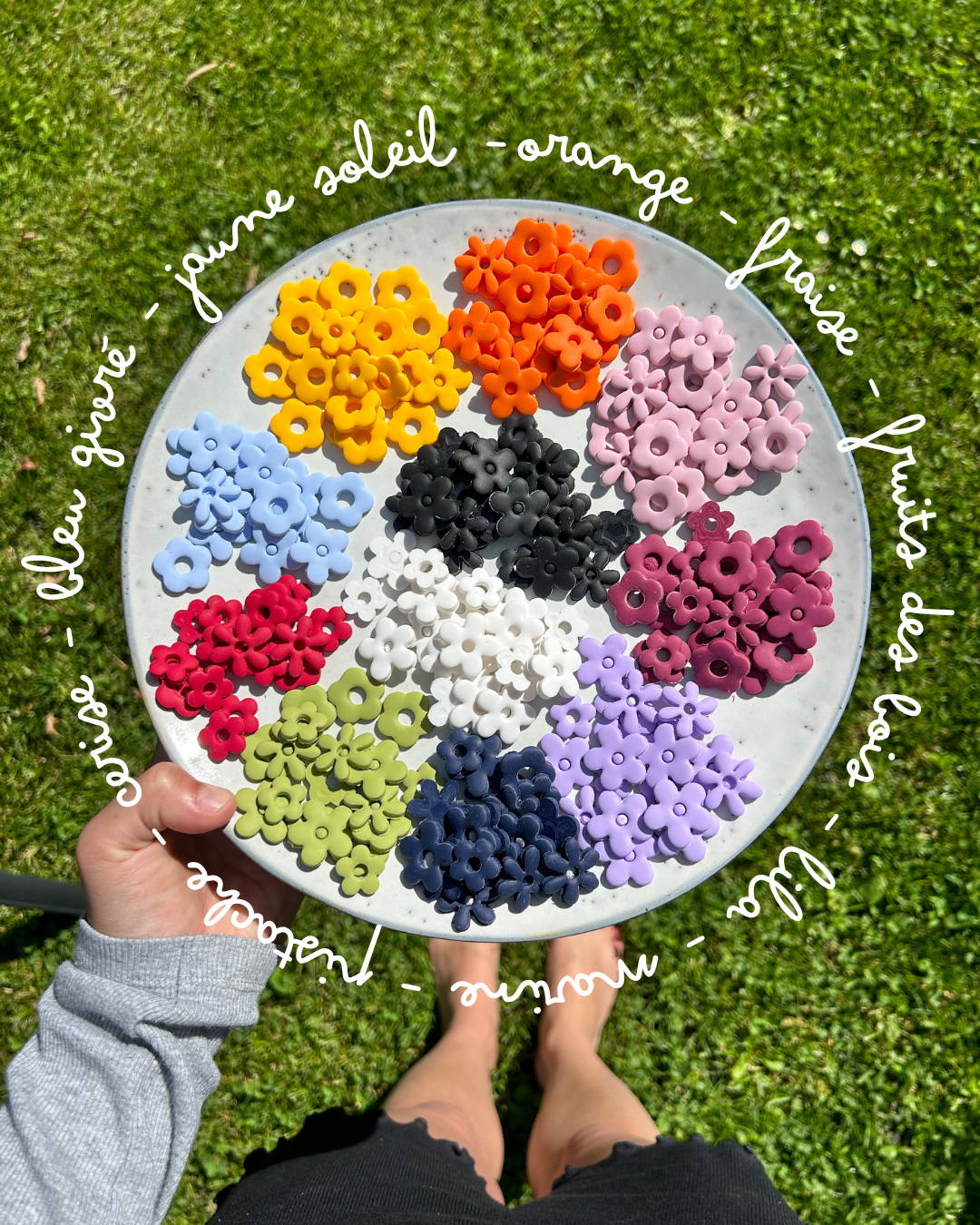Carrousel dédié à l'annonce de la nouvelle collection pour la marque Cool & colorful par Marine Reyna Sanchez.